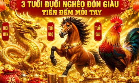 5 ngày liên tiếp (4-8/6): 3 tuổi Đuổi Nghèo Đón Giàu, Tiền Đếm Mỏi Tay