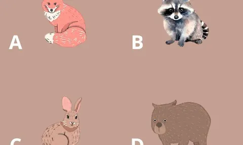 Trắc nghiệm tâm lý: Con vật nào thu hút bạn từ trực giác đầu tiên?