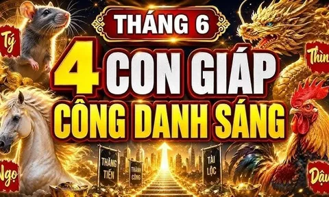 4 con giáp Sáng Đường Công Danh, tuổi 35 dễ phất nhất
