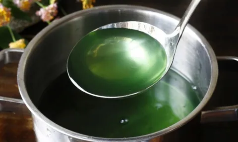 Nước luộc rau muống có màu xanh đậm: Có phải do hóa chất, thuốc trừ sâu?