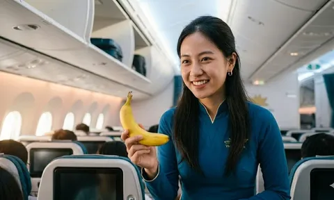 Tại sao tiếp viên hàng không luôn mang theo quả chuối lên máy bay? Sự thật bất ngờ ít ai biết