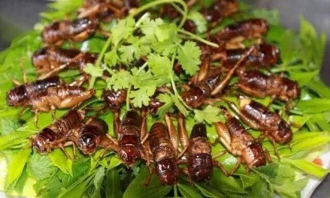 12 món đặc sản Quảng Ngãi nhất định phải thử một lần, có món tên độc lạ khiến nhiều du khách tò mò