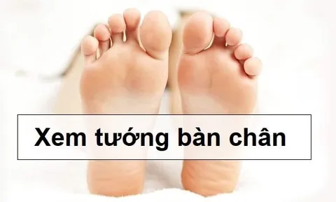 4 nét tướn bàn chân giàu có