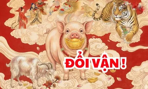 10 ngày tới vận mệnh đảo chiều: 4 con giáp có núi Vàng núi Bạc trong nhà