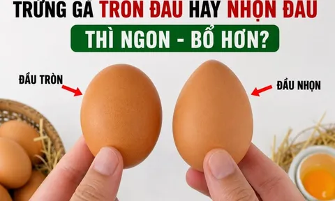 Trứng gà tròn đầu hay nhọn đầu thì ngon - bổ hơn?