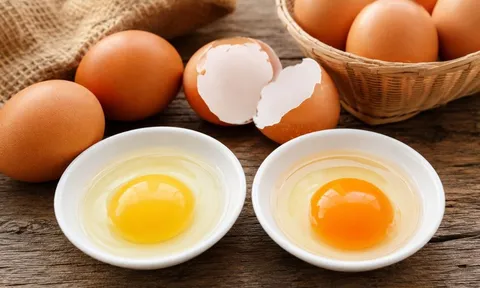 Lòng đỏ trứng gà màu vàng nhạt hay vàng đậm giàu dinh dưỡng hơn? Điều gì quyết định màu sắc?