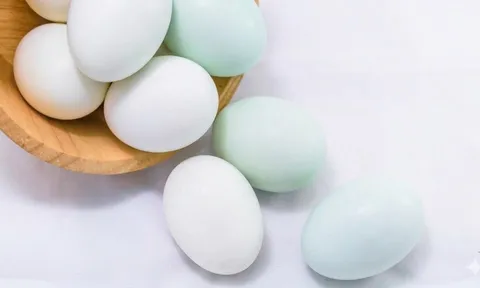 Mua trứng vịt chọn vỏ trắng hay vỏ xanh? Hóa ra bấy lâu nay nhiều người hiểu lầm