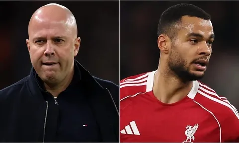 Cody Gakpo phá vỡ im lặng vụ Liverpool sa thải Arne Slot