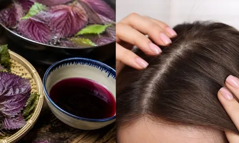 Cách gội đầu bằng lá tía tô giúp da đầu sạch gàu, hỗ trợ tóc mọc khỏe hơn