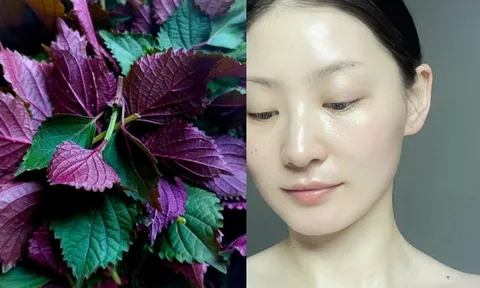 Cách rửa mặt bằng lá tía tô giúp da trắng mịn, mờ thâm nám