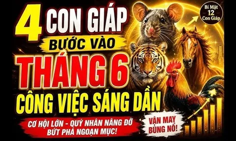 Chúc mừng 4 con giáp nhận tin tốt công việc xuôi thuận