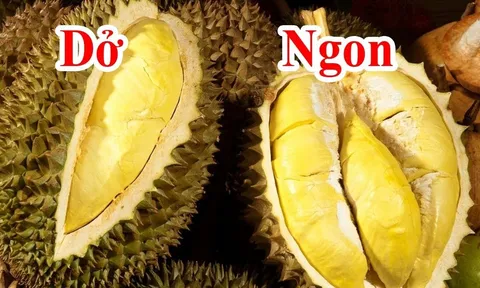 Mẹo chọn sầu riêng ngon trăm quả như một múi to ngon ngọt