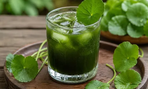 Những người nên hạn chế uống nước rau má
