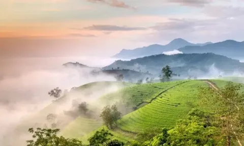 Tỉnh nào ở miền Bắc được các Vua Hùng chọn làm nơi đóng đô, xưng danh “Đất học” nổi tiếng trong sử Việt?