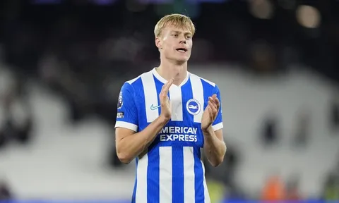 Tottenham 2 lần bị Brighton từ chối vụ Van Hecke