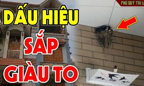 4 con vật vào nhà báo điềm lành: Thần Tài ghé thăm đừng dại đuổi đi
