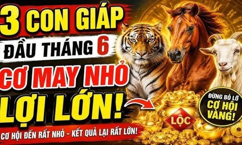 3 con giáp thuận đường làm ăn, Tiền dễ sinh lời sau 8/6