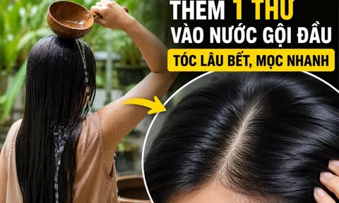 Thêm 1 thứ vào nước gội đầu, tóc lâu bết, mọc nhanh