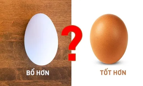 Trứng gà và trứng vịt loại nào bổ hơn?