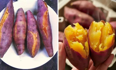 Khung giờ ăn khoai lang giảm cân nhanh nhất