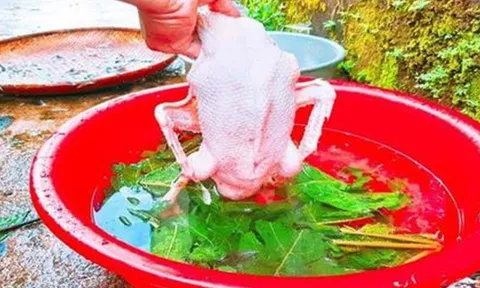 Mẹo nhổ lông vịt cực dễ, không còn một cọng lông măng chỉ trong 10 phút
