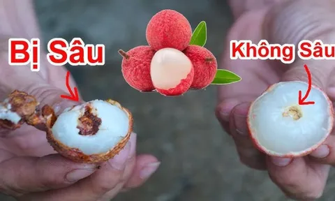 Mua vải đừng chỉ chọn quả to: Nhìn điểm này biết ngay hạt nhỏ, ăn ngọt lịm, không sâu đầu