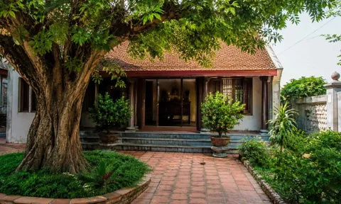 Người xưa nhắc nhở: 3 loại cây không nên trồng trước nhà kẻo hao tài tốn sức