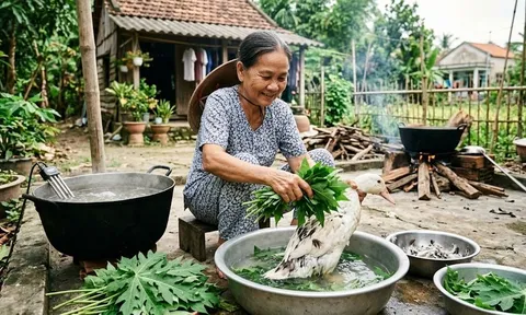 Nhổ lông vịt siêu nhanh, sạch tuốt lông măng nhờ 1 nắm lá đu đủ