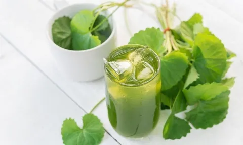 5 loại nước giúp thải độc gan thận, giải nhiệt mát gan