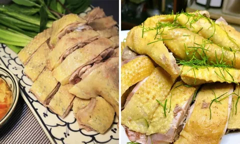 Thịt Gà và Thịt Vịt, ăn loại nào tốt hơn?