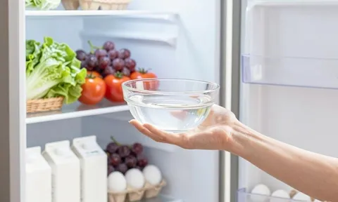 Vì sao nên để một bát giấm trắng vào tủ lạnh?