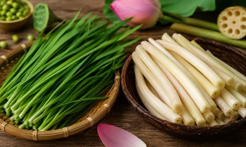 Vì sao người xưa nói: Nam không thiếu lá hẹ, nữ không thể thiếu ngó sen?