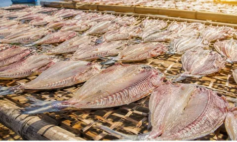 Ăn nhiều 6 loại cá này có thể tăng nguy cơ ung thư nhưng vẫn nhiều người thích ăn