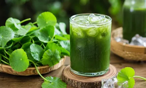Cách làm nước rau má thanh nhiệt, mẹo hay để nước xanh mướt, không xỉn màu, để lâu không tách nước