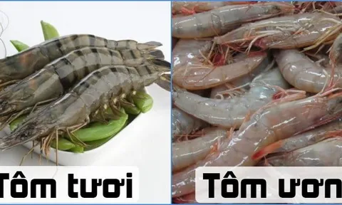 Chọn tôm cứ nhìn vào điểm này biết ngay con nào tươi con nào không nên mua phí tiền