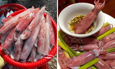 Mực tươi nên hấp hay luộc nước sẽ ngon hơn?