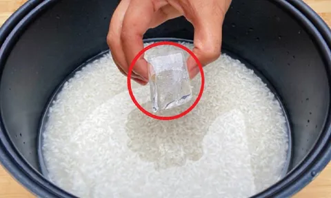 Tại sao bạn nên cho 1 viên đá lạnh vào nồi cơm điện?