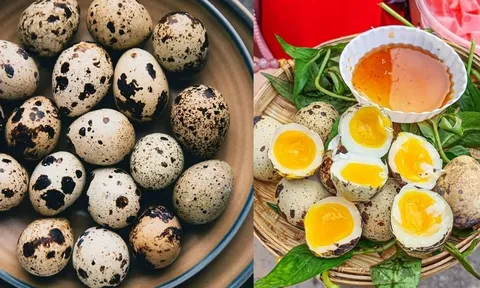 Trứng cút nhỏ nhưng có 9 lợi ích sức khỏe bất ngờ, nhiều người chưa biết