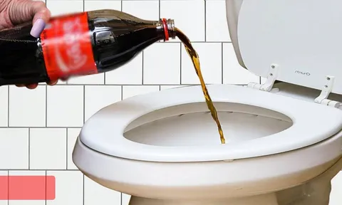 3 lợi ích bất ngờ khi đổ coca vào bồn cầu