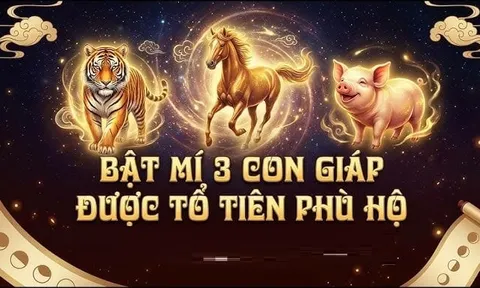 Không giàu sớm nhưng giàu bền: 3 con giáp tích lũy tiền tỷ ngập nhà