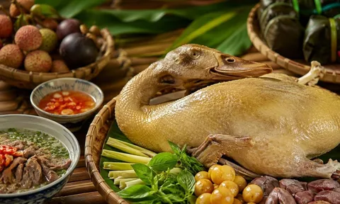 Vì sao dịp Tết Đoan Ngọ, nhiều người Việt thường ăn thịt vịt?