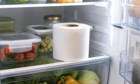 Vì sao nên đặt cuộn giấy trong tủ lạnh? Công dụng bất ngờ không phải ai cũng biết