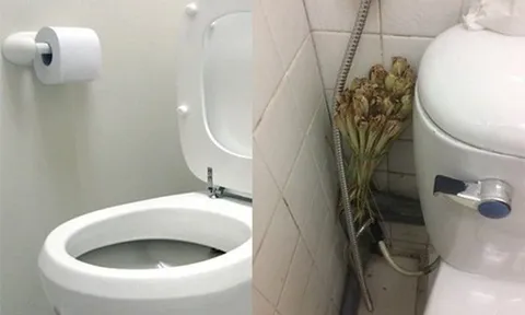 Vì sao người ta hay đặt một bó sả vào nhà vệ sinh?