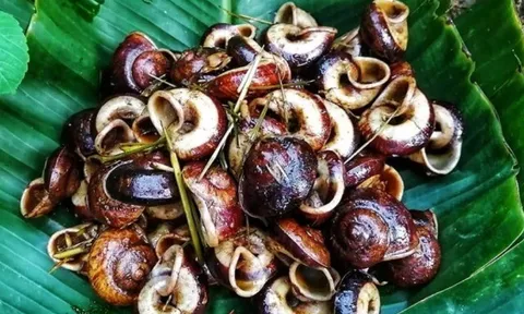 13 loại đặc sản nhất định phải thử khi đến Tây Ninh, có món nhìn “nổi da gà”, có món thích hợp mua làm quà