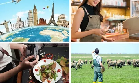 Trắc nghiệm tâm lý: Nếu không bận tâm thu nhập, bạn muốn trải nghiệm công việc nào nhất?