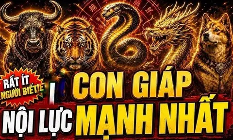 4 con giáp Khởi Nghiệp Gian Nan về sau thu Lộc càng đậm