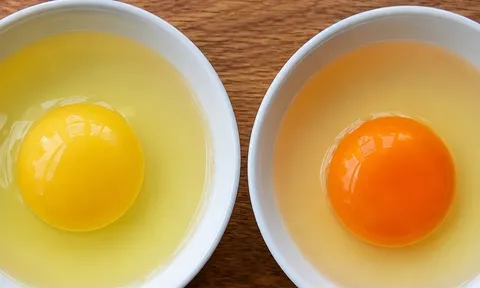 Lòng đỏ trứng càng đậm màu có phải càng bổ không?