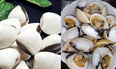 Mẹo để ngao nhả sạch cát nhanh: Đừng chỉ ngâm nước, nhiều người đang làm sai từ bước đầu