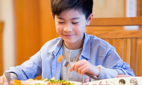 Để trẻ phát triển toàn diện, gia đình có con nhỏ cần lưu ý đến 4 trụ cột quan trọng, thiếu một điều cũng ảnh hưởng rất lớn