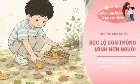 6 giai đoạn nhạy cảm quyết định sự phát triển trí thông minh và tương lai của trẻ